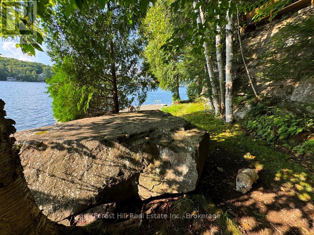 30945 Kawagama Lake Wao, Algonquin Highlands, Ontario P0A 1E0 - Photo 28 - X13166234