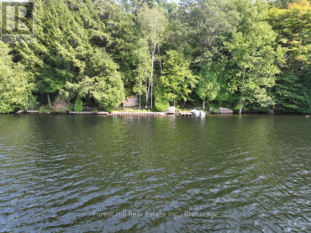30945 Kawagama Lake Wao, Algonquin Highlands, Ontario P0A 1E0 - Photo 4 - X13166234