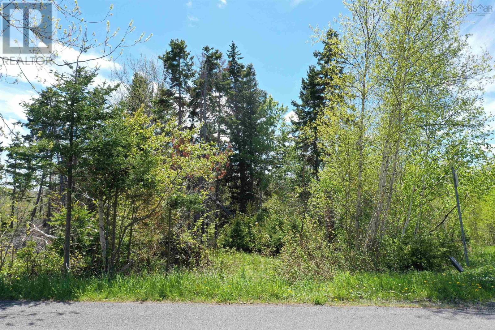 Lot 4 Ervin Road, Black Point, Nova Scotia  B0J 1B0 - Photo 6 - 202601038