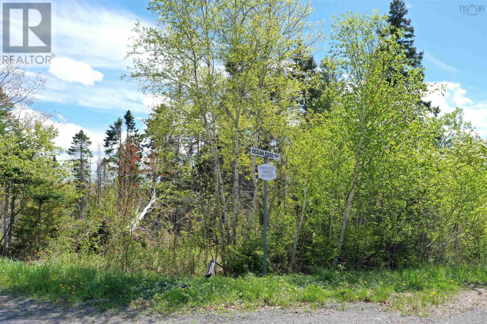 Lot 4 Ervin Road, Black Point, Nova Scotia  B0J 1B0 - Photo 7 - 202601038
