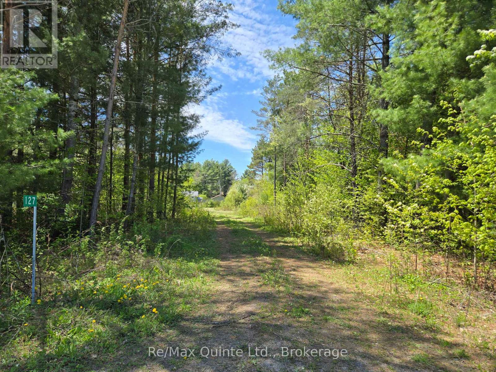 127 Lloyd Street E, Addington Highlands, Ontario  K0H 2G0 - Photo 1 - X13166296