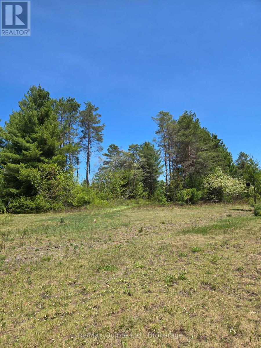 127 Lloyd Street E, Addington Highlands, Ontario  K0H 2G0 - Photo 10 - X13166296