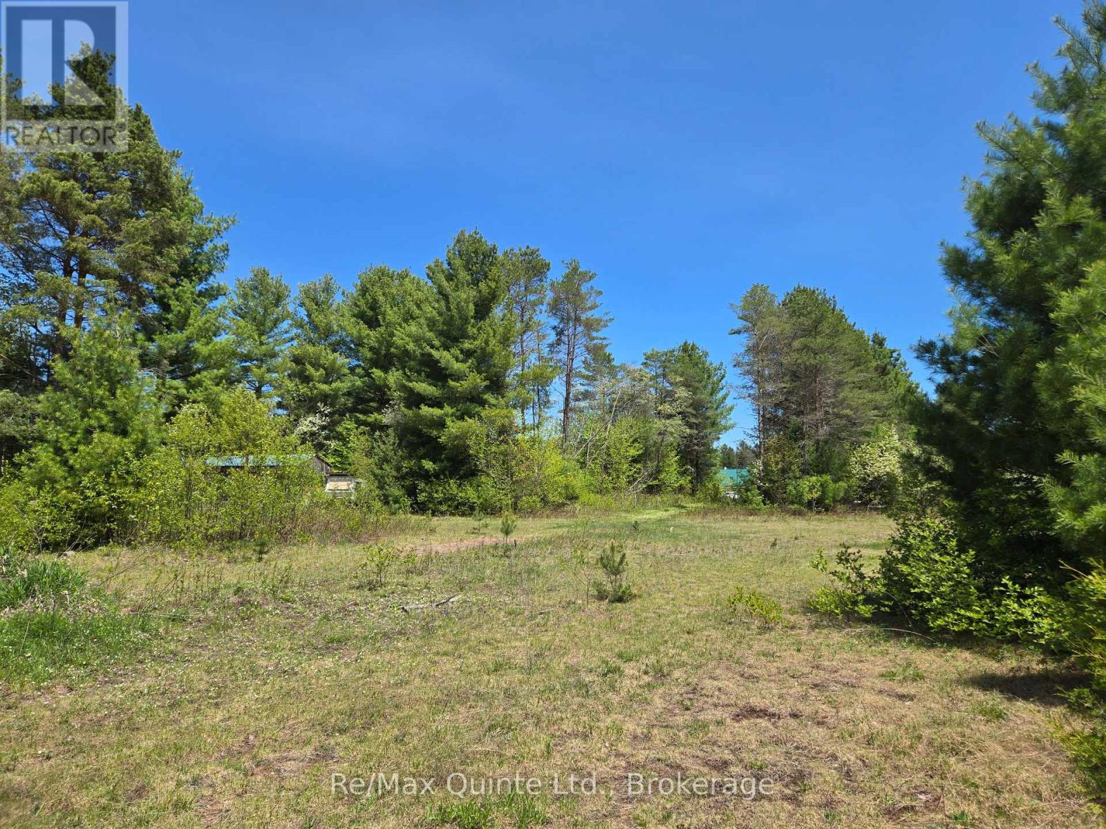 127 Lloyd Street E, Addington Highlands, Ontario  K0H 2G0 - Photo 11 - X13166296