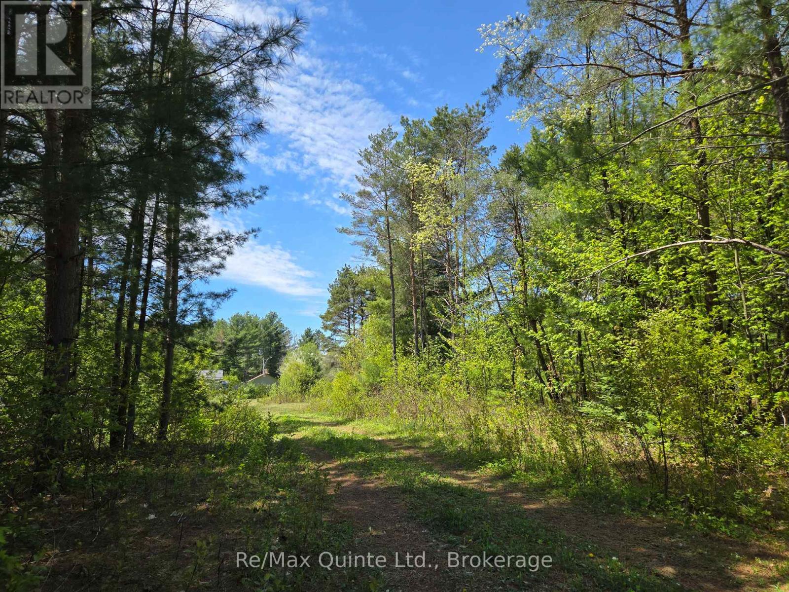 127 Lloyd Street E, Addington Highlands, Ontario  K0H 2G0 - Photo 13 - X13166296