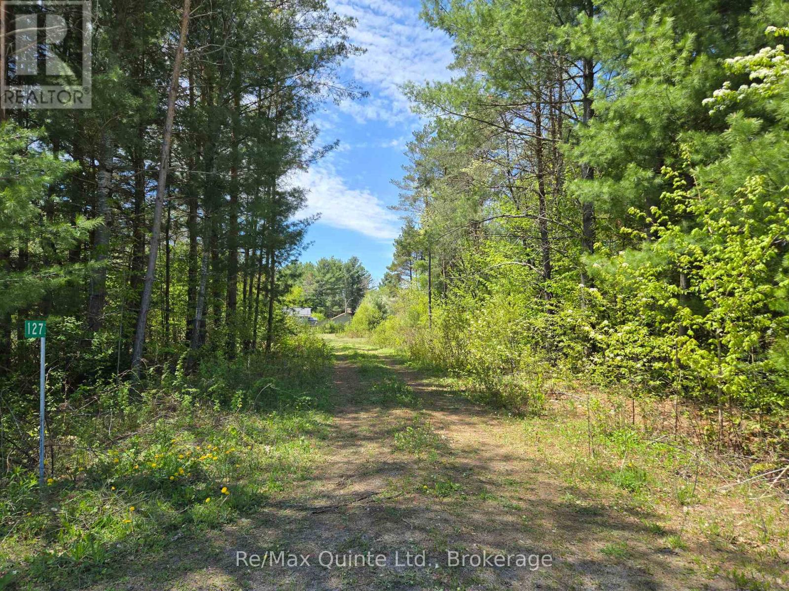 127 Lloyd Street E, Addington Highlands, Ontario  K0H 2G0 - Photo 14 - X13166296