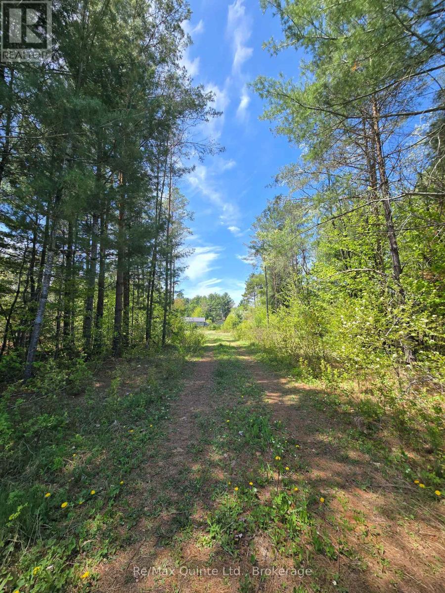 127 Lloyd Street E, Addington Highlands, Ontario  K0H 2G0 - Photo 3 - X13166296