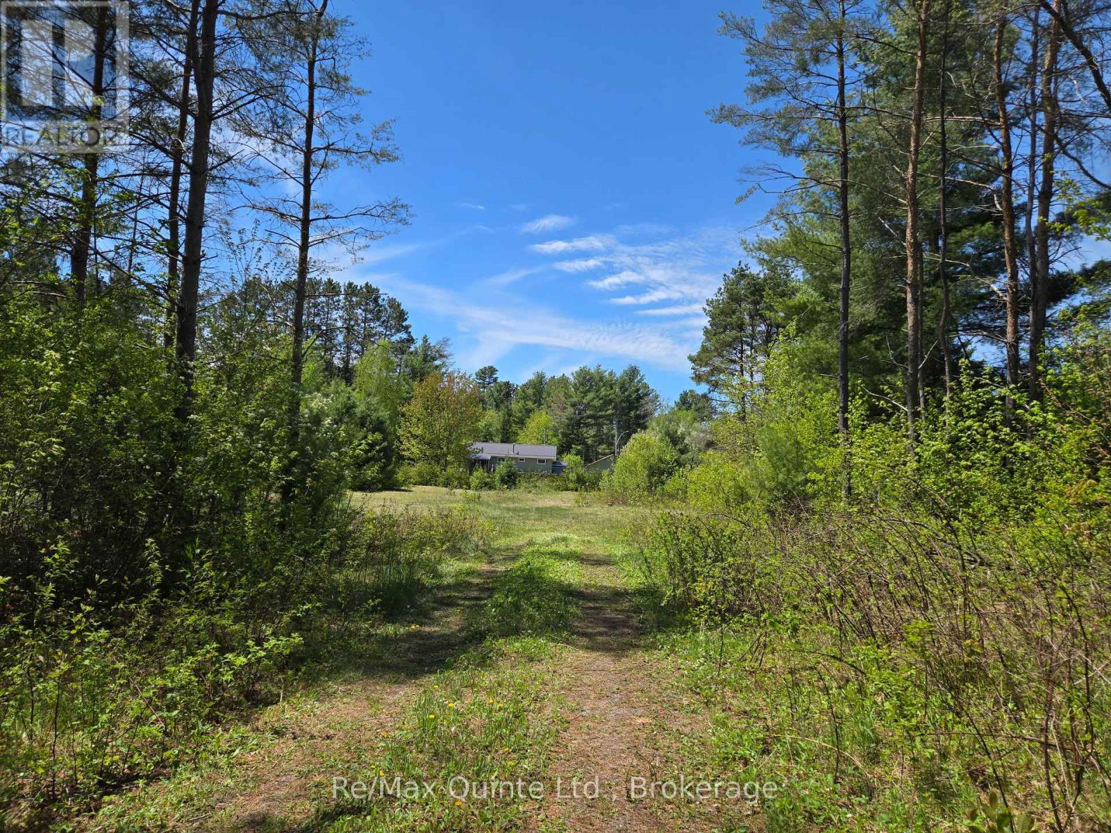 127 Lloyd Street E, Addington Highlands, Ontario  K0H 2G0 - Photo 4 - X13166296