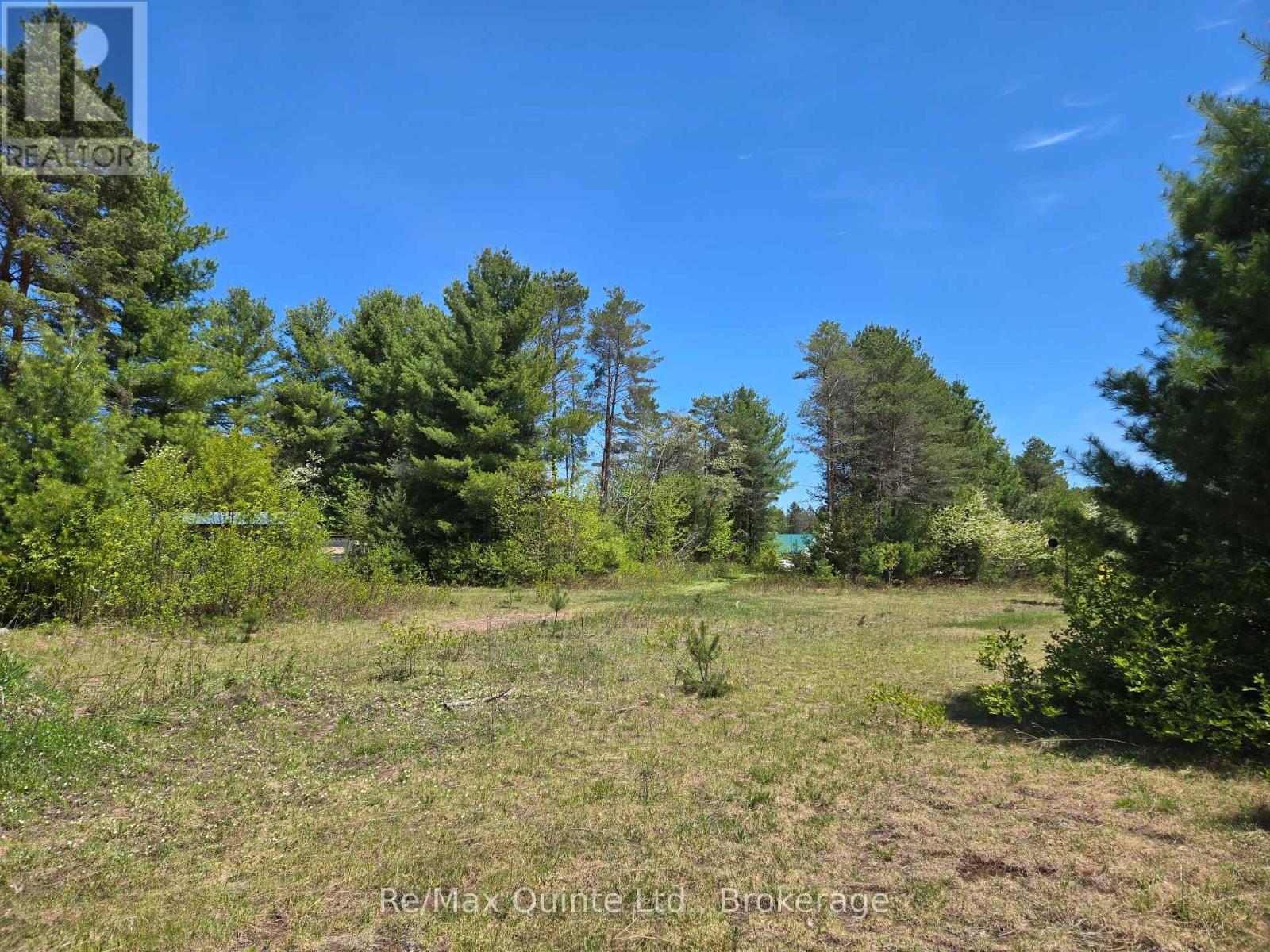 127 Lloyd Street E, Addington Highlands, Ontario  K0H 2G0 - Photo 7 - X13166296