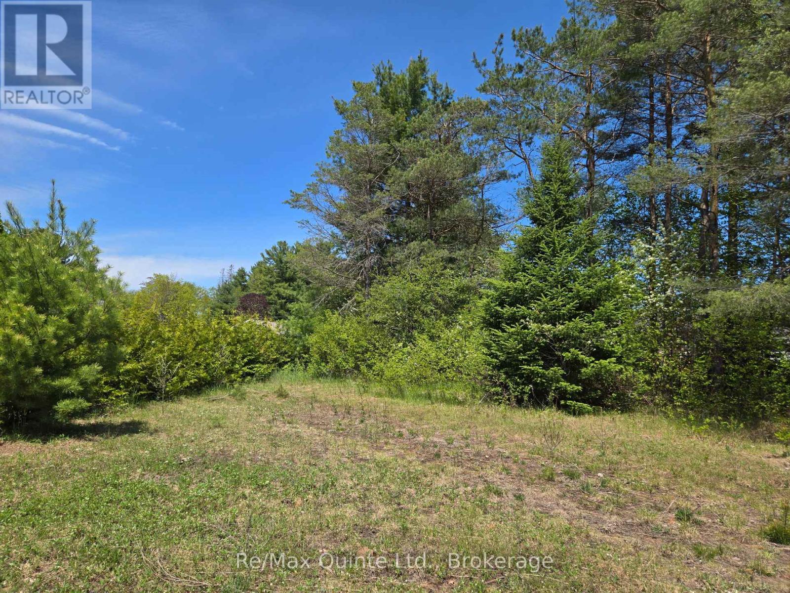 127 Lloyd Street E, Addington Highlands, Ontario  K0H 2G0 - Photo 8 - X13166296