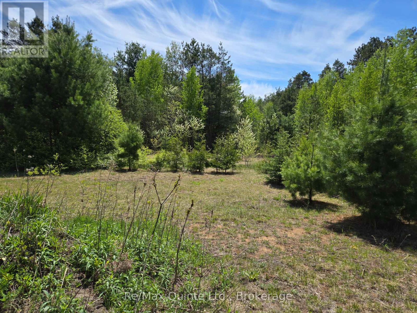 127 Lloyd Street E, Addington Highlands, Ontario  K0H 2G0 - Photo 9 - X13166296