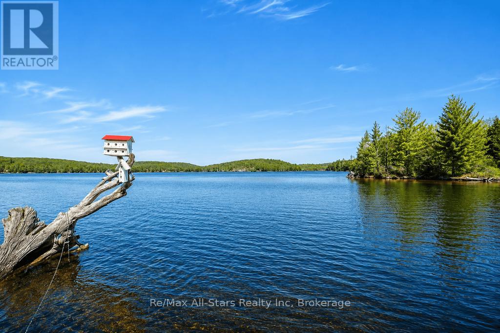 13603 Raven Lake - East Shore, Algonquin Highlands, Ontario  P0A 1E0 - Photo 3 - X13166364