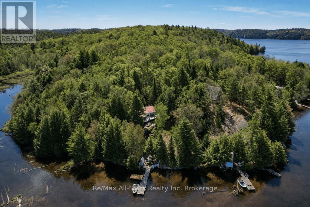 13603 Raven Lake - East Shore, Algonquin Highlands, Ontario  P0A 1E0 - Photo 38 - X13166364
