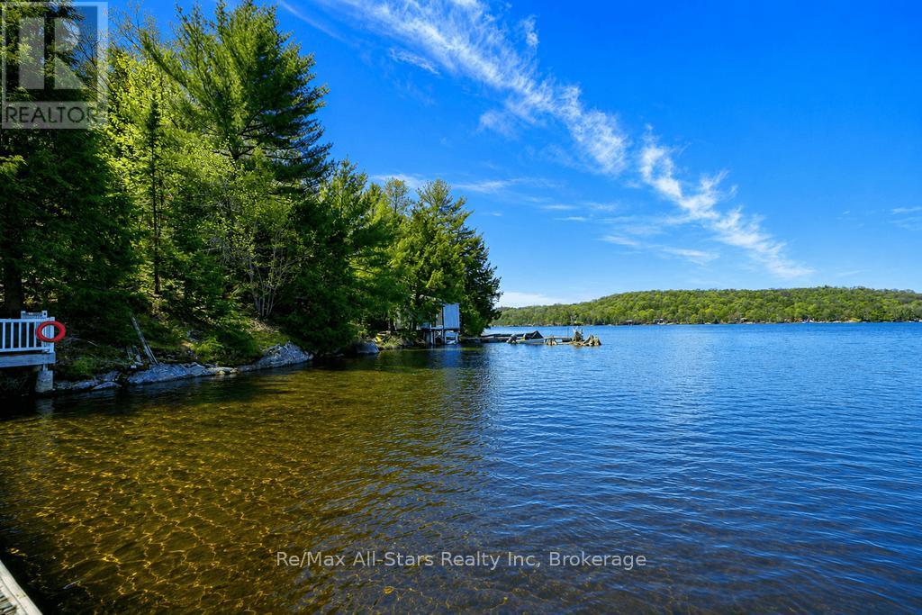 13603 Raven Lake - East Shore, Algonquin Highlands, Ontario  P0A 1E0 - Photo 39 - X13166364