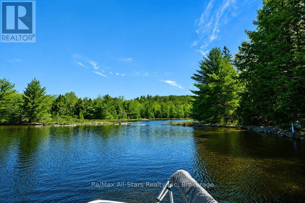 13603 Raven Lake - East Shore, Algonquin Highlands, Ontario  P0A 1E0 - Photo 40 - X13166364