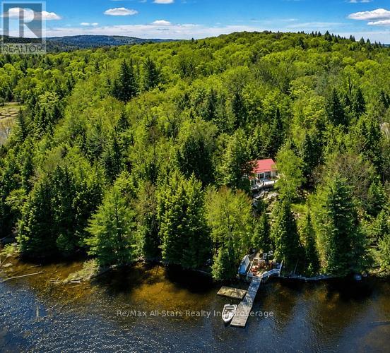 13603 Raven Lake - East Shore, Algonquin Highlands, Ontario  P0A 1E0 - Photo 41 - X13166364