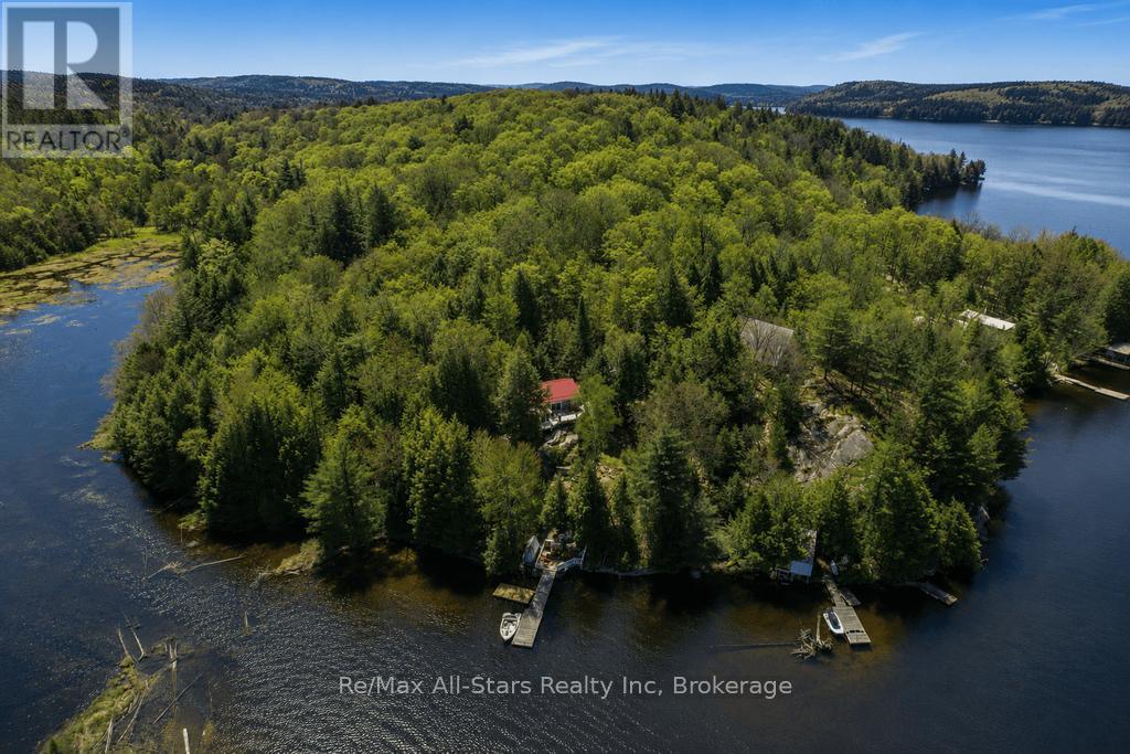 13603 Raven Lake - East Shore, Algonquin Highlands, Ontario  P0A 1E0 - Photo 5 - X13166364