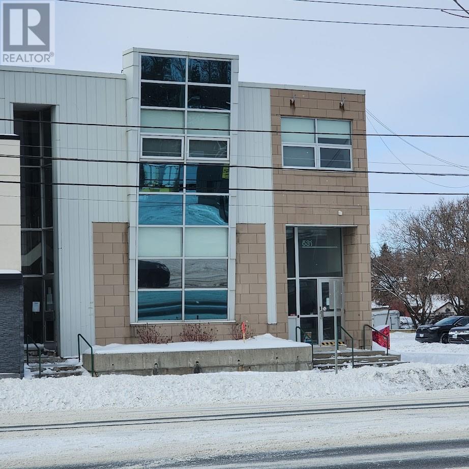 531 Notre Dame Avenue, Greater Sudbury, Ontario  P3C 5L1 - Photo 40 - 2127082