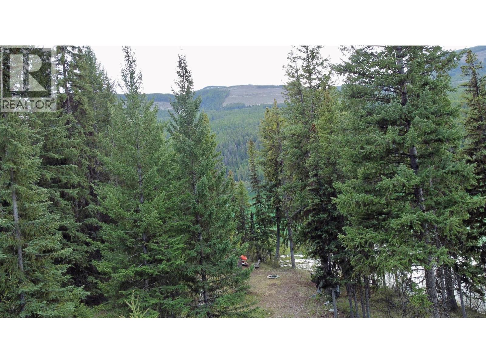Lot 17 Whitetail Lake Road, Canal Flats, British Columbia V0B 1L2 - Photo 24 - 10388625