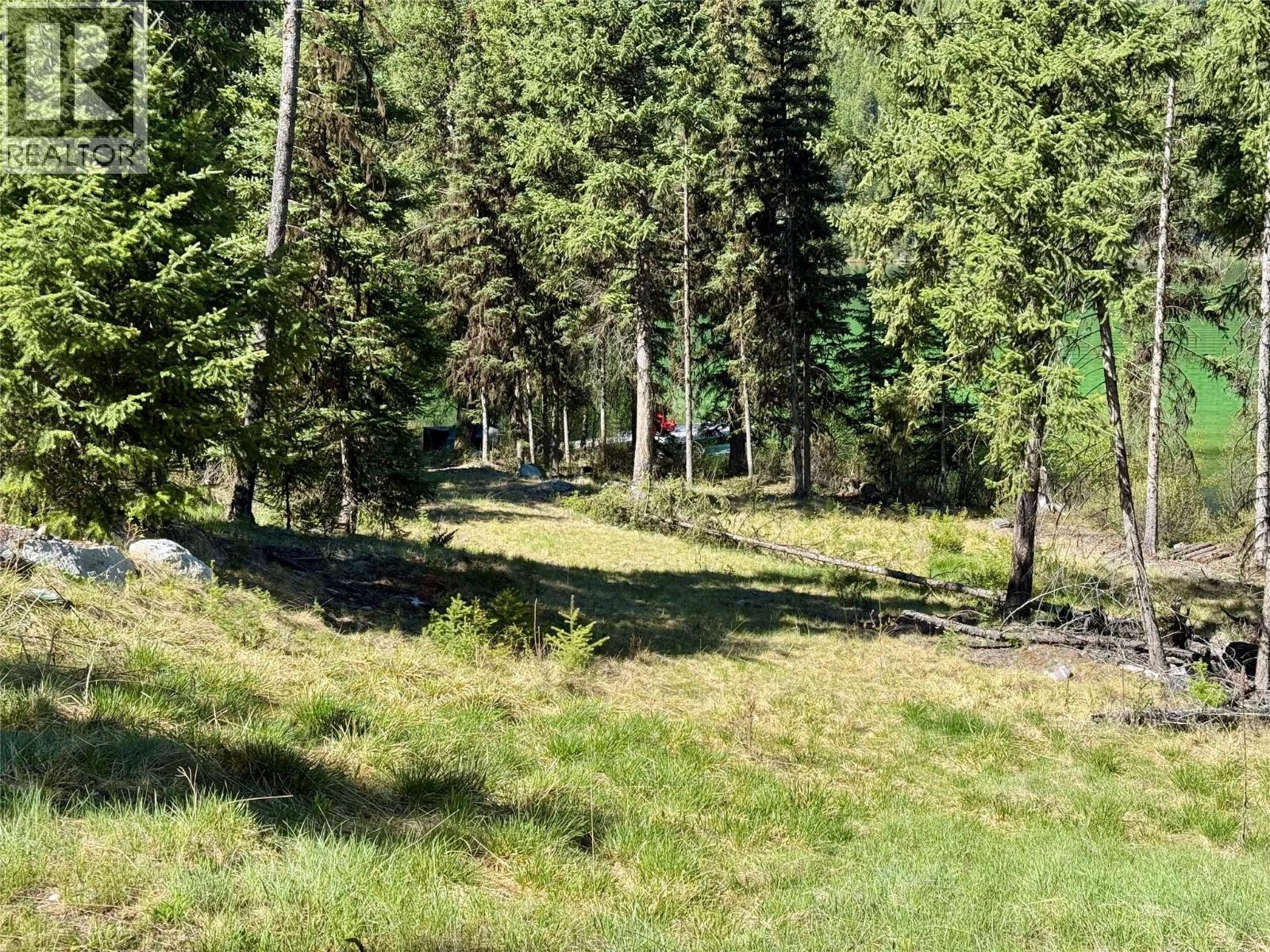 Lot 17 Whitetail Lake Road, Canal Flats, British Columbia V0B 1L2 - Photo 2 - 10388625