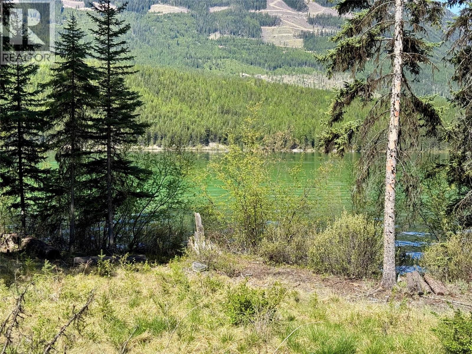Lot 17 Whitetail Lake Road, Canal Flats, British Columbia V0B 1L2 - Photo 6 - 10388625