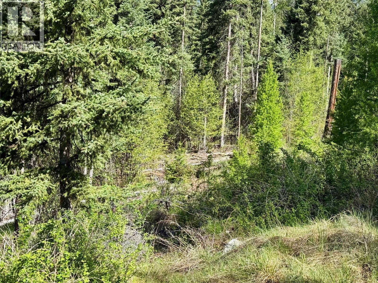 Lot 17 Whitetail Lake Road, Canal Flats, British Columbia V0B 1L2 - Photo 16 - 10388625