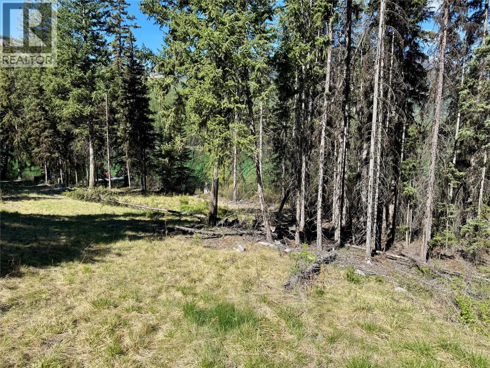 Lot 17 Whitetail Lake Road, Canal Flats, British Columbia V0B 1L2 - Photo 4 - 10388625