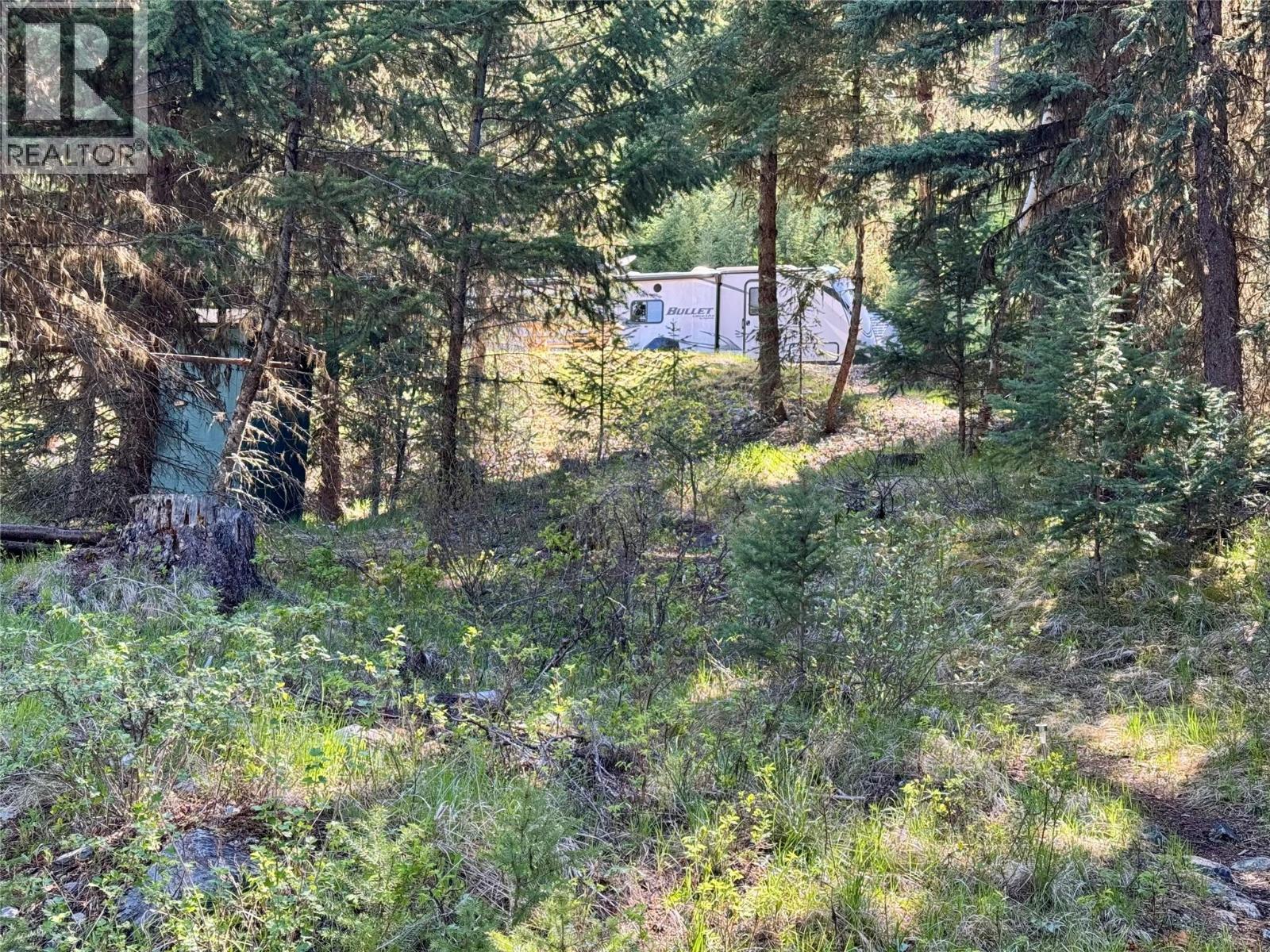 Lot 17 Whitetail Lake Road, Canal Flats, British Columbia V0B 1L2 - Photo 15 - 10388625