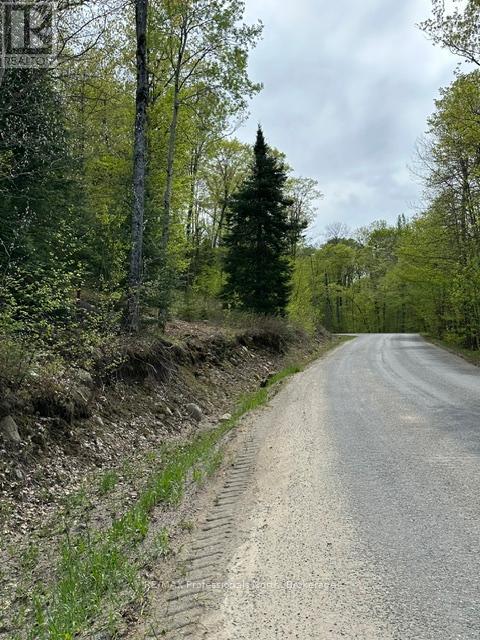 Tbd Bushwolf Lake Road, Dysart Et Al, Ontario  K0M 1S0 - Photo 14 - X13166426