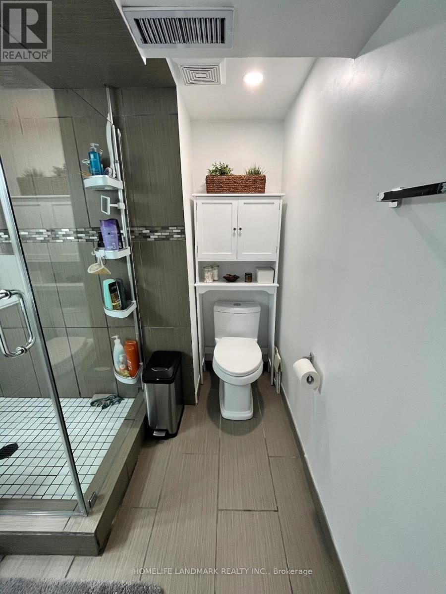 Basement - 59 Falkirk Drive, Hamilton, Ontario  L9B 1S3 - Photo 12 - X13166414