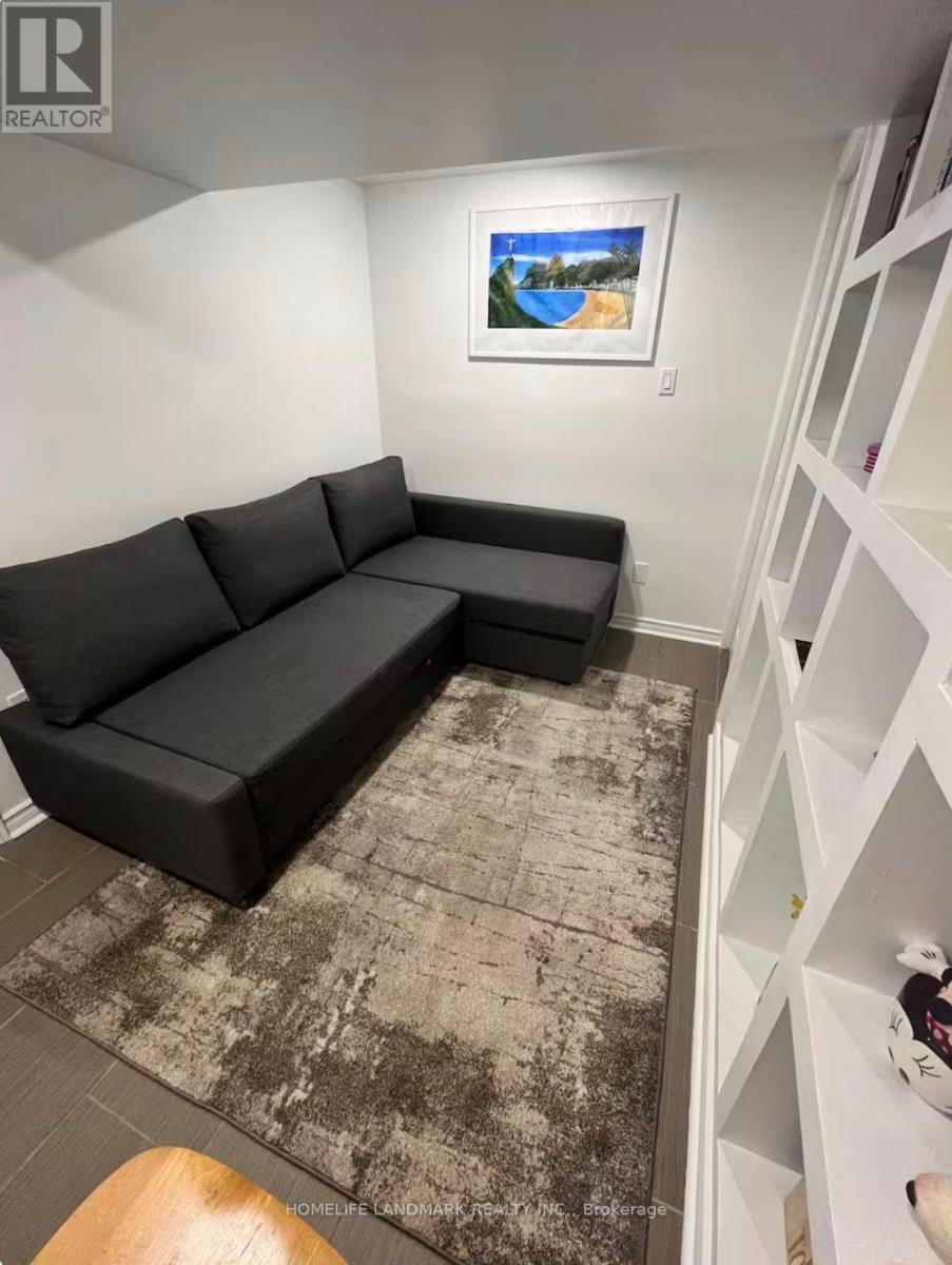Basement - 59 Falkirk Drive, Hamilton, Ontario  L9B 1S3 - Photo 16 - X13166414