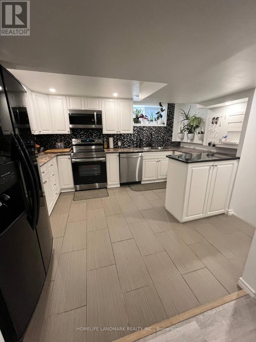Basement - 59 Falkirk Drive, Hamilton, Ontario  L9B 1S3 - Photo 3 - X13166414