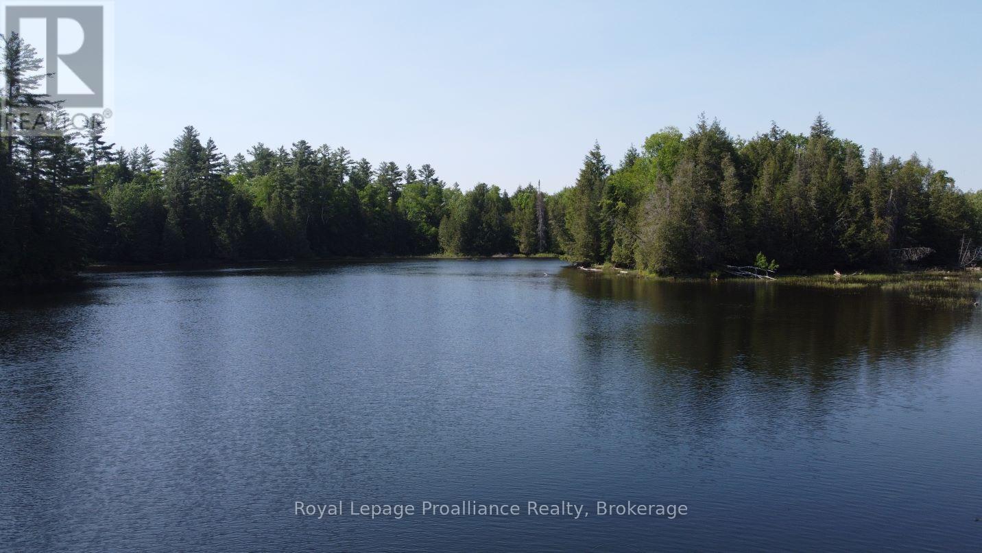 5966 Hwy 506 Road, Frontenac, Ontario  K0K 1C0 - Photo 13 - X13166432