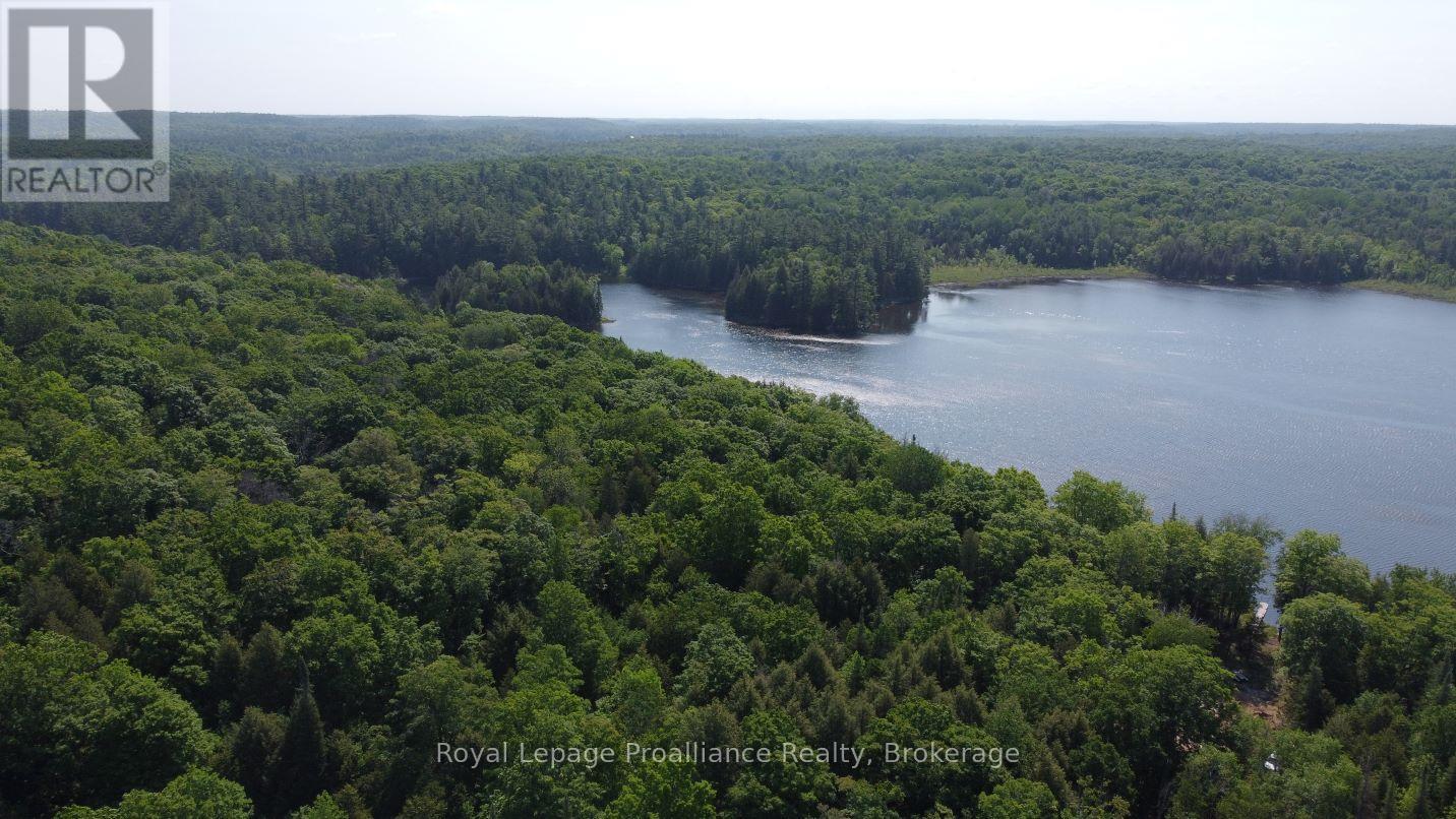 5966 Hwy 506 Road, Frontenac, Ontario  K0K 1C0 - Photo 6 - X13166432