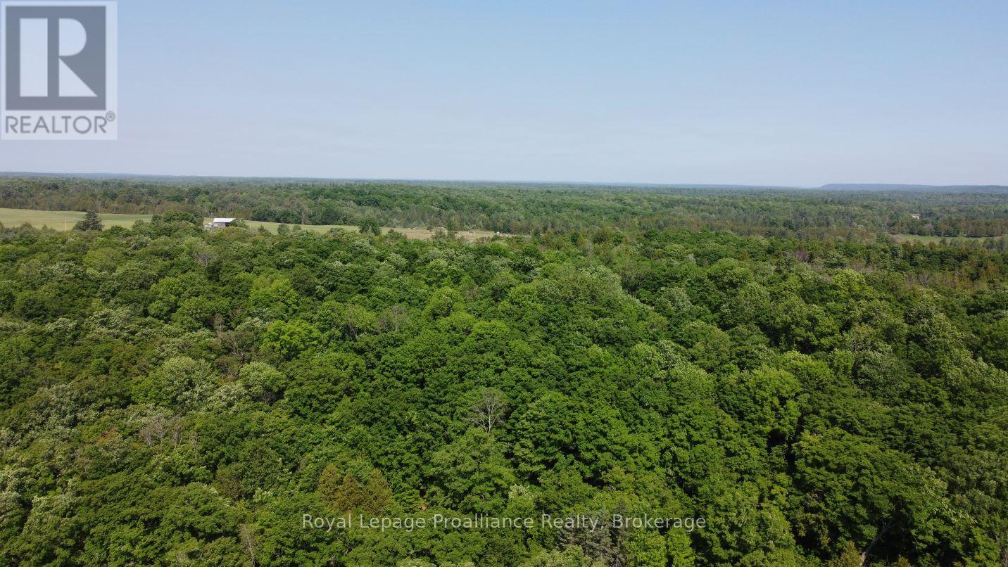 5966 Hwy 506 Road, Frontenac, Ontario  K0K 1C0 - Photo 7 - X13166432