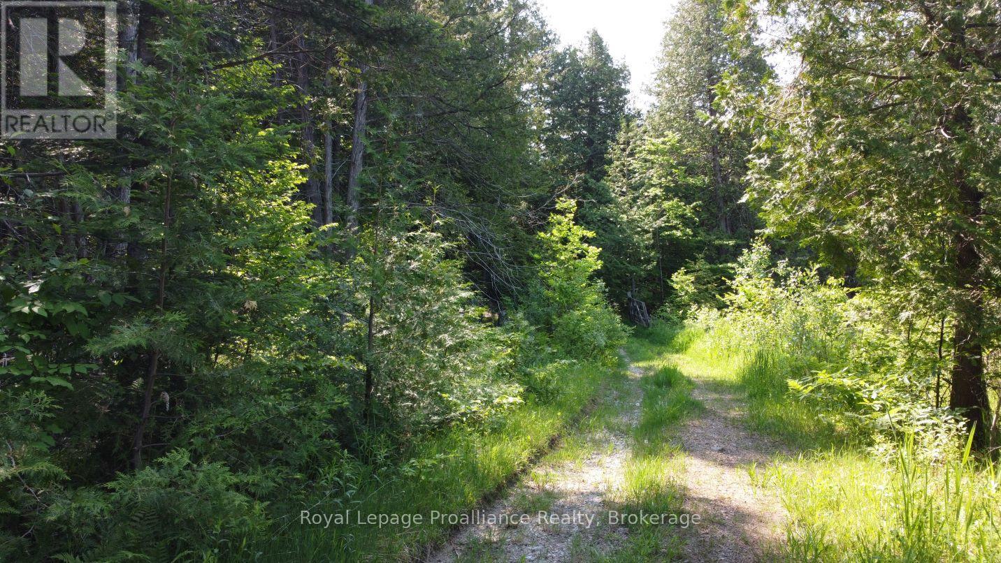 5966 Hwy 506 Road, Frontenac, Ontario  K0K 1C0 - Photo 9 - X13166432
