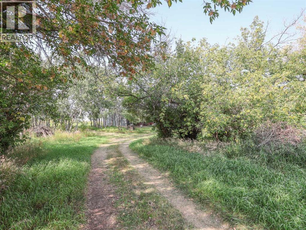 41224 Hwy 850, Rural Stettler No. 6, Alberta  T0B 1H0 - Photo 47 - A2299128