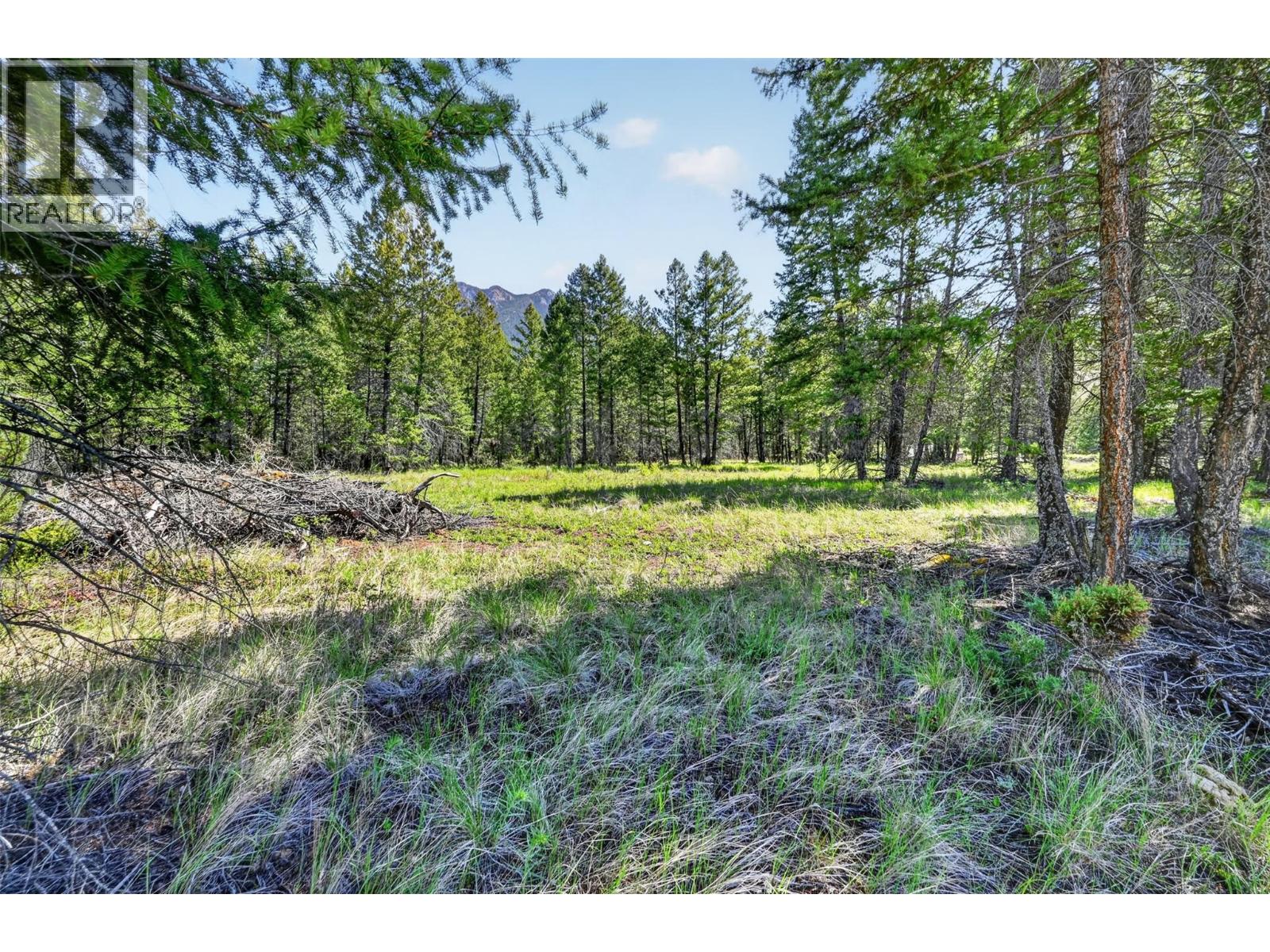4915 Saddlewood Lane, Radium Hot Springs, British Columbia  V0A 1M0 - Photo 8 - 10388239