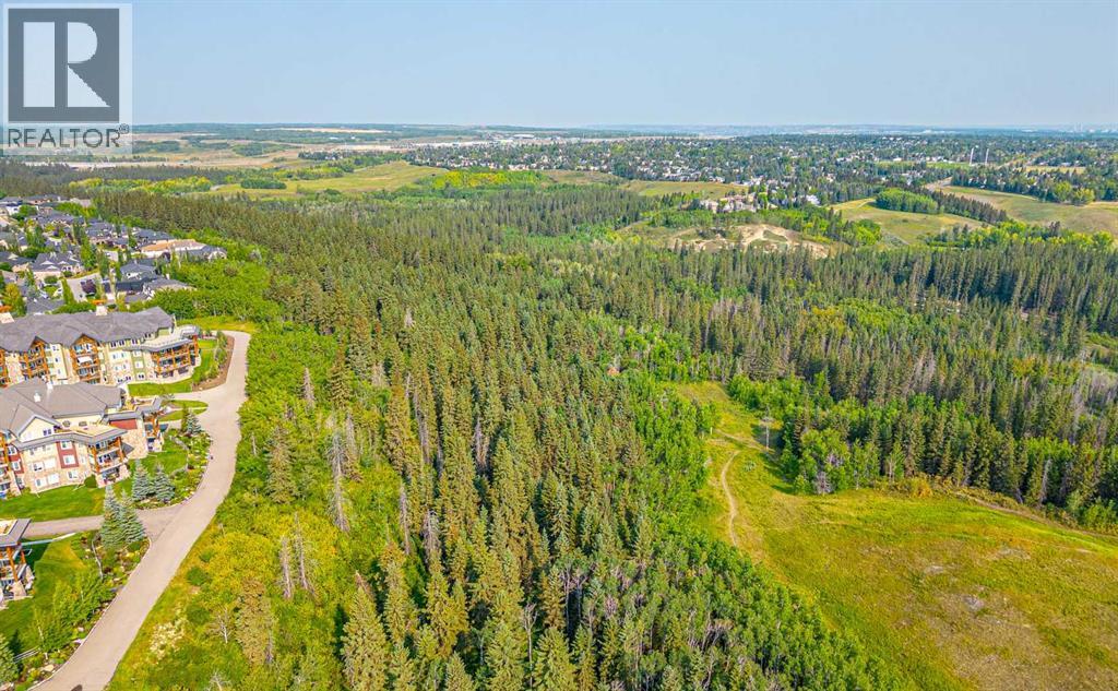 77 Everbrook Drive SW, Calgary, Alberta  T2Y 0A4 - Photo 49 - A2314173