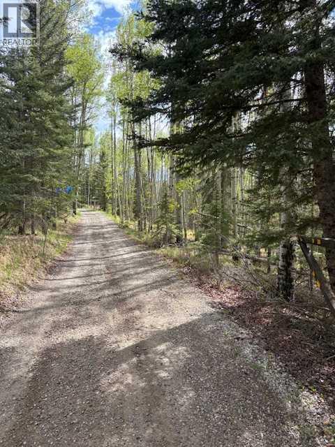 28, 5413 Highway 579, Rural Mountain View County, Alberta  T0M 2E0 - Photo 4 - A2312849