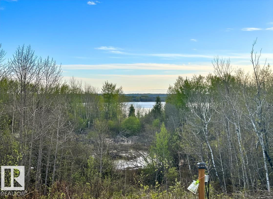 322 Mons Lake Dr, Rural Smoky Lake County, Alberta  T0A 3C0 - Photo 8 - E4489690