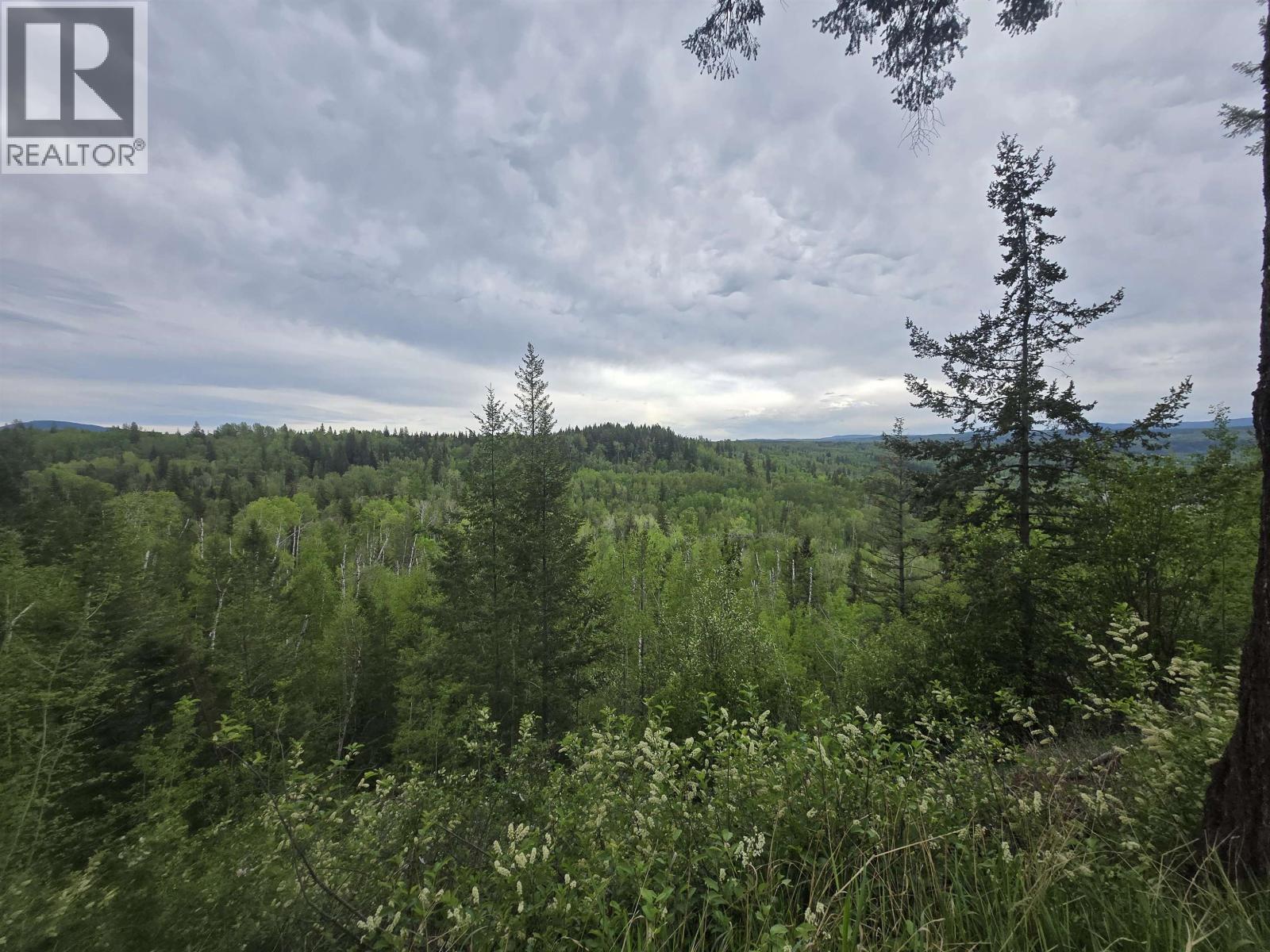 1897 Dragon Hill Road, Quesnel, British Columbia  V2J 4B9 - Photo 14 - R3124270