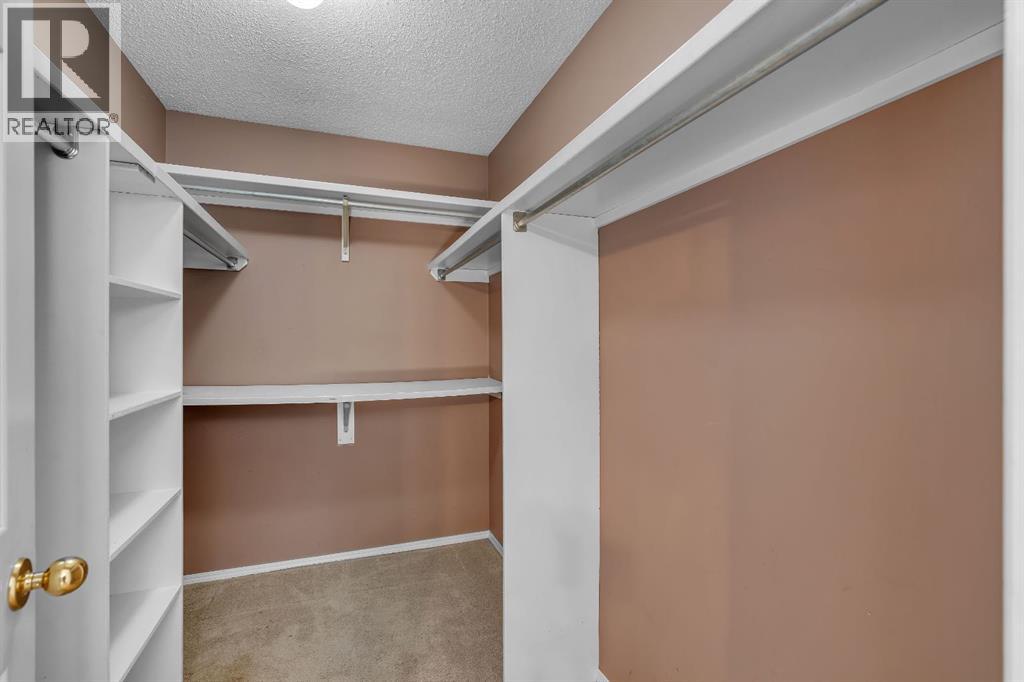 260 Erin Woods Drive Se, Calgary, Alberta T2B 3B9 - Photo 20 - A2313685