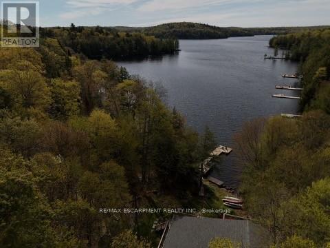 2787 Watts Road, Dysart Et Al, Ontario  K0M 1S0 - Photo 41 - X13166980