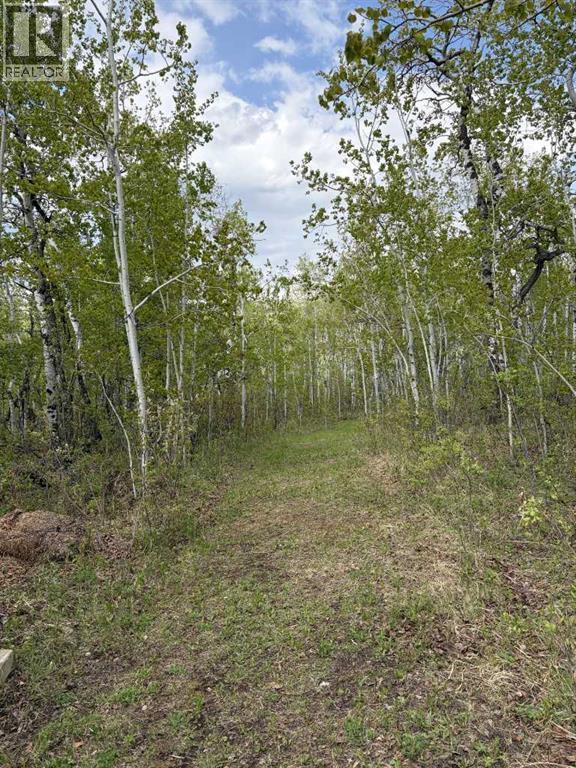 322253 112 Street W, Rural Foothills County, Alberta  T1S 5H9 - Photo 24 - A2289659