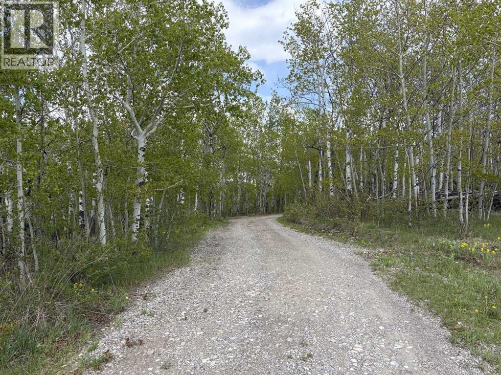 322253 112 Street W, Rural Foothills County, Alberta  T1S 5H9 - Photo 31 - A2289659