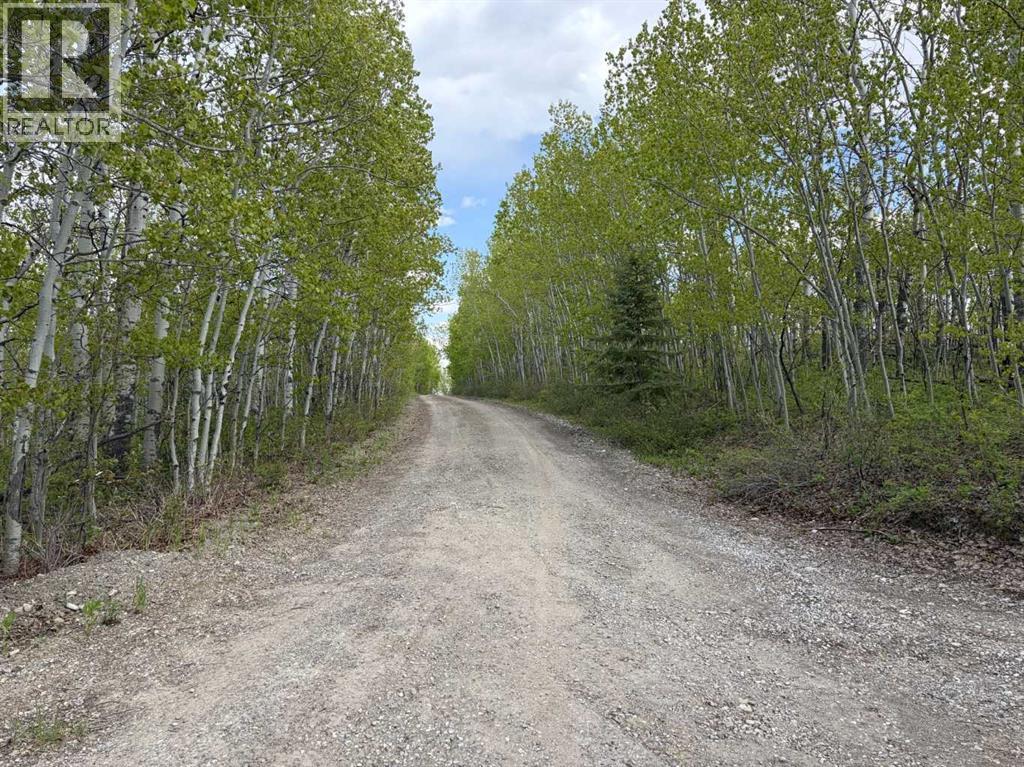322253 112 Street W, Rural Foothills County, Alberta  T1S 5H9 - Photo 33 - A2289659