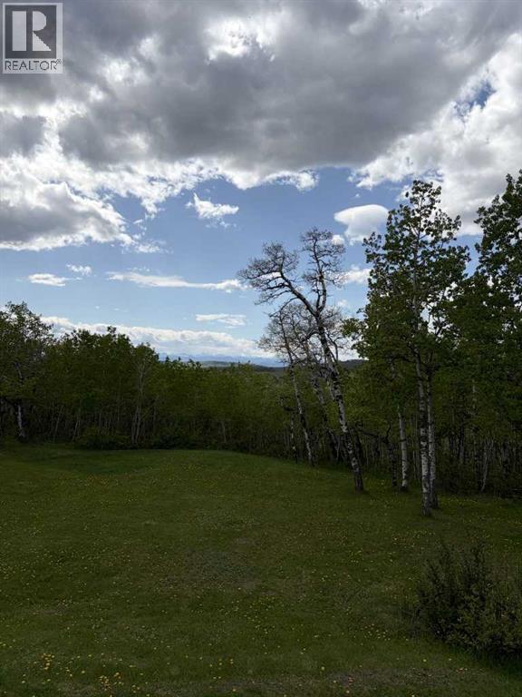322253 112 Street W, Rural Foothills County, Alberta  T1S 5H9 - Photo 35 - A2289659