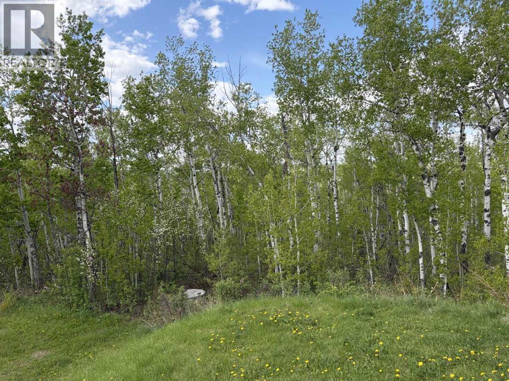 322253 112 Street W, Rural Foothills County, Alberta  T1S 5H9 - Photo 36 - A2289659