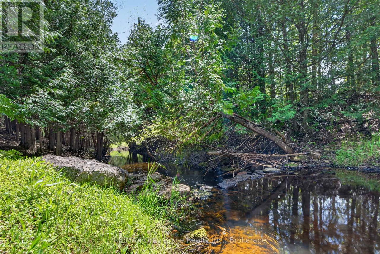 259106 Sarawak Keppel Townline W, Georgian Bluffs, Ontario  N0H 1S0 - Photo 4 - X13167000