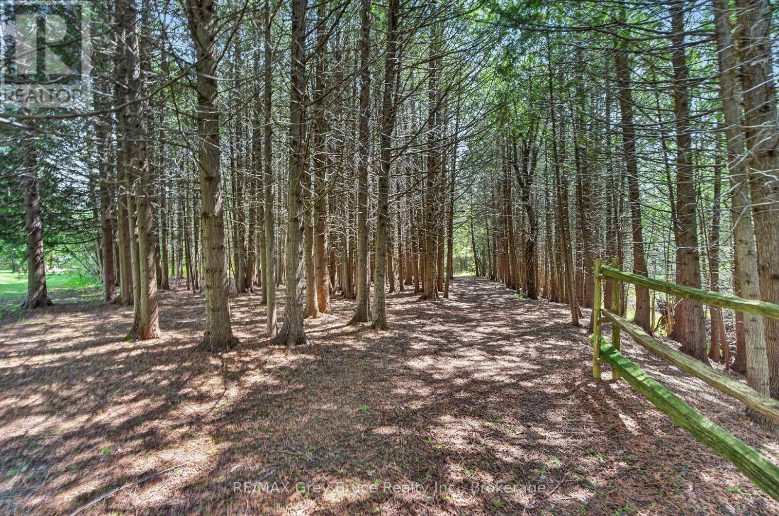259106 Sarawak Keppel Townline W, Georgian Bluffs, Ontario  N0H 1S0 - Photo 6 - X13167000